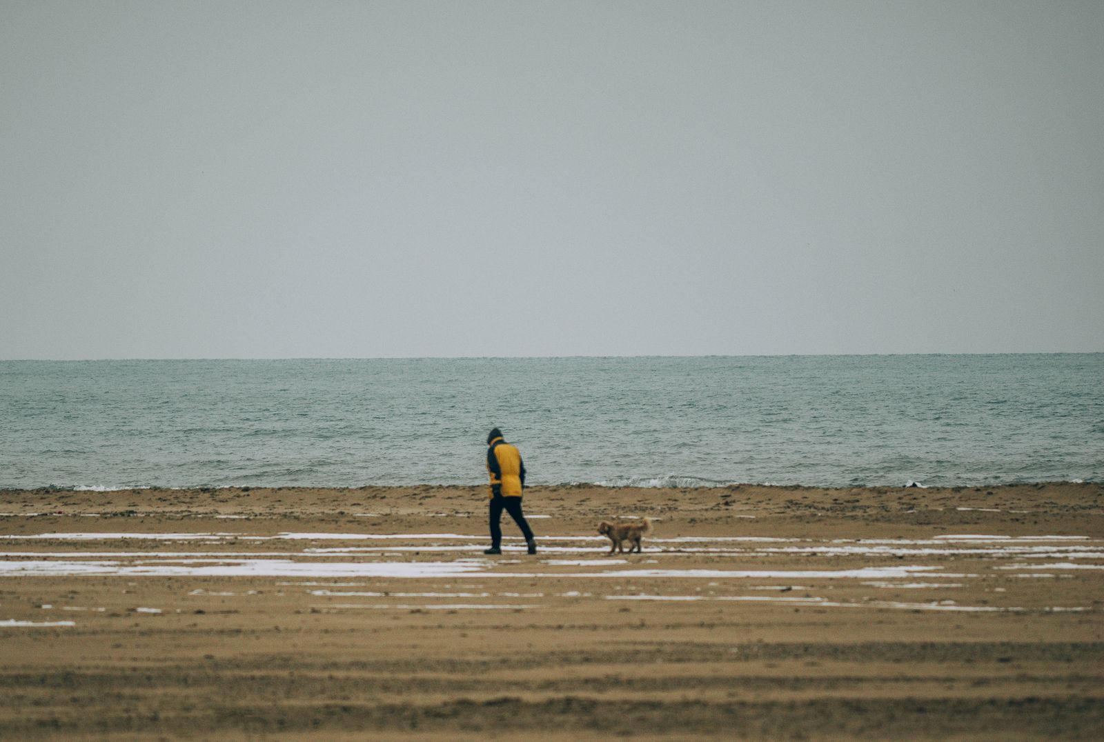 Właściciel spacerujący z psem po szerokiej, pustej plaży w pochmurny dzień